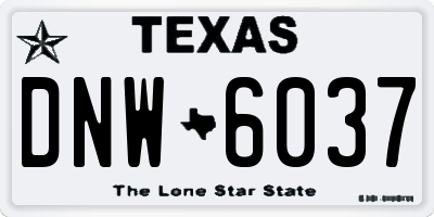 TX license plate DNW6037