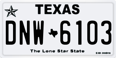 TX license plate DNW6103