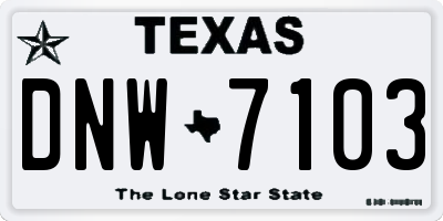 TX license plate DNW7103