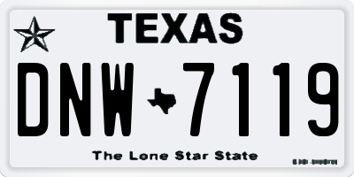 TX license plate DNW7119