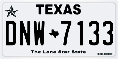 TX license plate DNW7133