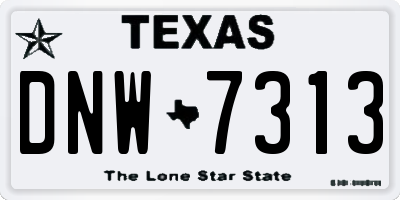 TX license plate DNW7313