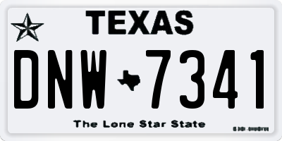 TX license plate DNW7341