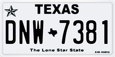 TX license plate DNW7381