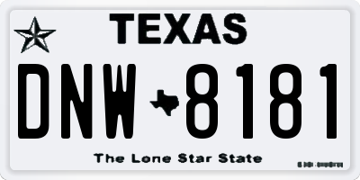 TX license plate DNW8181