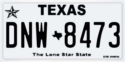 TX license plate DNW8473
