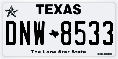 TX license plate DNW8533