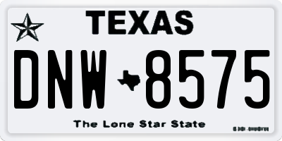 TX license plate DNW8575