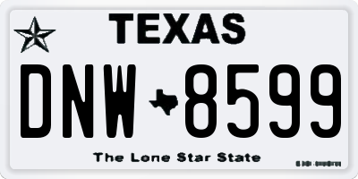 TX license plate DNW8599
