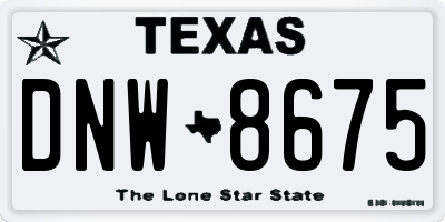 TX license plate DNW8675