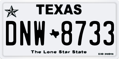 TX license plate DNW8733