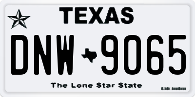 TX license plate DNW9065