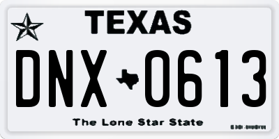 TX license plate DNX0613