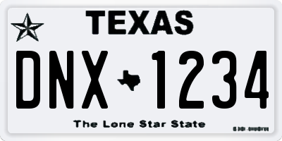 TX license plate DNX1234