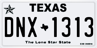 TX license plate DNX1313
