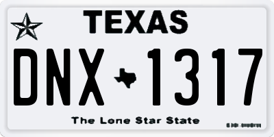 TX license plate DNX1317