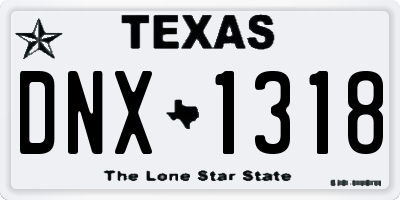 TX license plate DNX1318