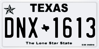 TX license plate DNX1613