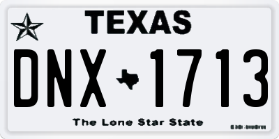 TX license plate DNX1713