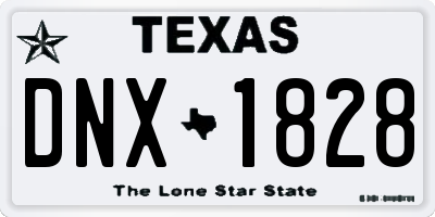 TX license plate DNX1828