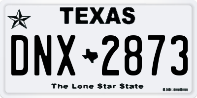 TX license plate DNX2873