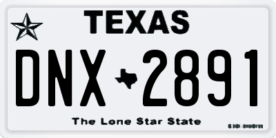 TX license plate DNX2891