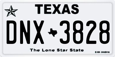 TX license plate DNX3828