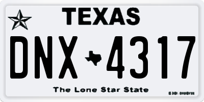 TX license plate DNX4317