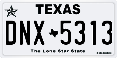TX license plate DNX5313
