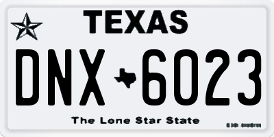 TX license plate DNX6023