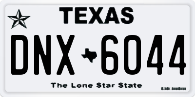 TX license plate DNX6044