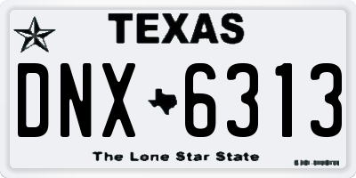 TX license plate DNX6313