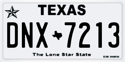 TX license plate DNX7213