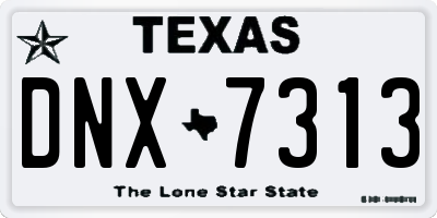 TX license plate DNX7313