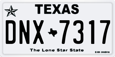 TX license plate DNX7317