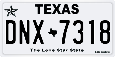 TX license plate DNX7318
