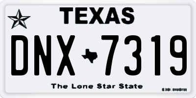 TX license plate DNX7319