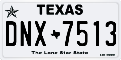 TX license plate DNX7513