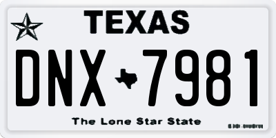 TX license plate DNX7981