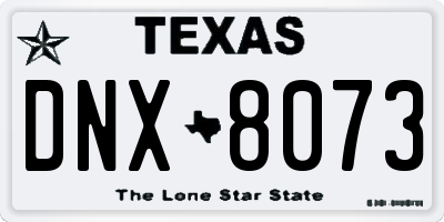 TX license plate DNX8073