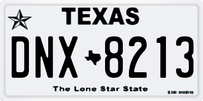 TX license plate DNX8213
