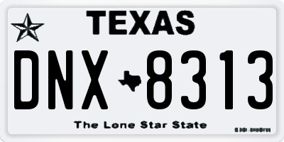TX license plate DNX8313