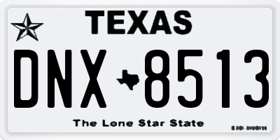 TX license plate DNX8513