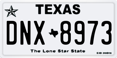TX license plate DNX8973