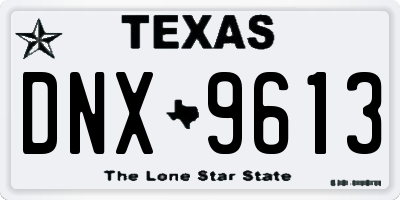 TX license plate DNX9613