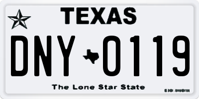 TX license plate DNY0119