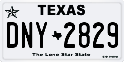 TX license plate DNY2829