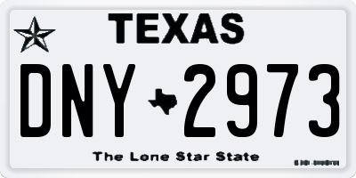 TX license plate DNY2973