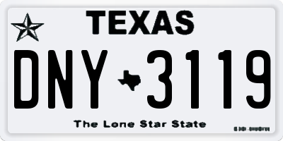 TX license plate DNY3119
