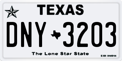 TX license plate DNY3203